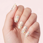 Daisy Flutter