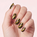 Black Shimmer