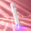 Handheld UV Lamp